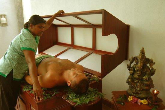 Panchi Villa Ayurveda Center景点图片