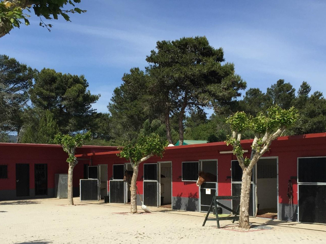 Centro Hipico da Costa do Estoril-卡斯凯什必去景点