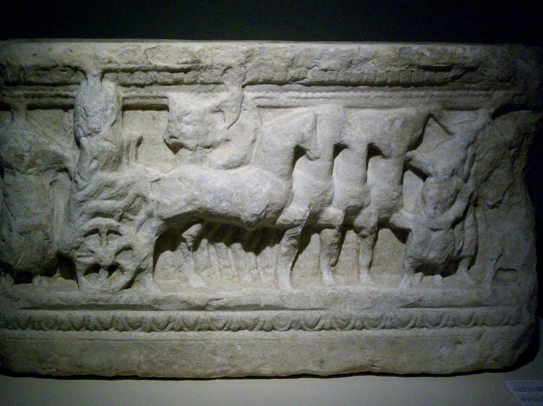 Museo Archeologico Artimino Francesco Nicosia-Artimino必去景点