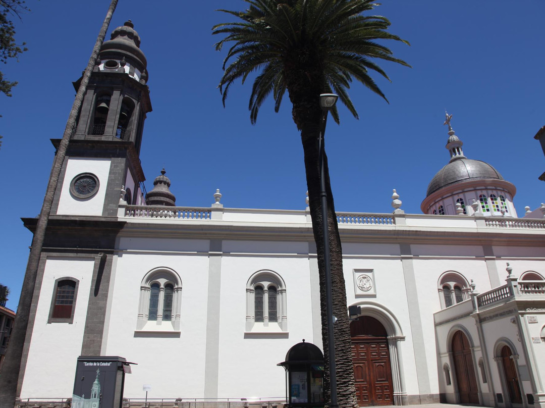 Santa Iglesia Cathedral景点图片