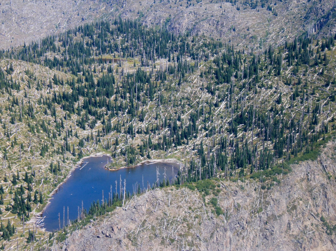 Mt St Helens Helicopter Tours景点图片