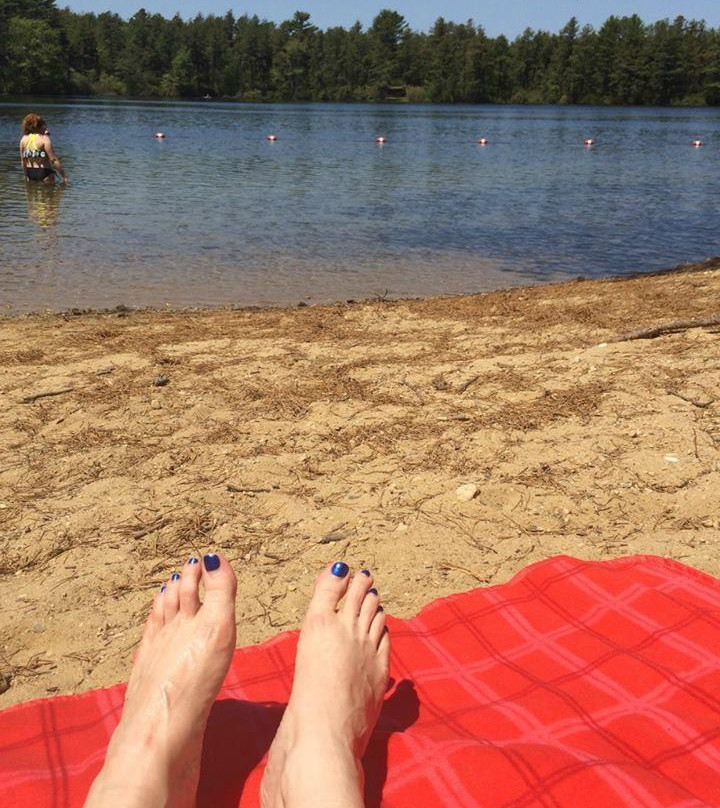 Myles Standish State Forest-普利茅斯必去景点