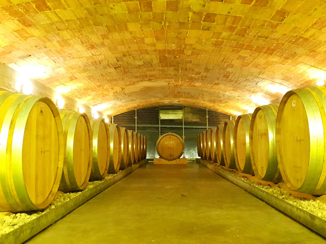 Celler Lagravera