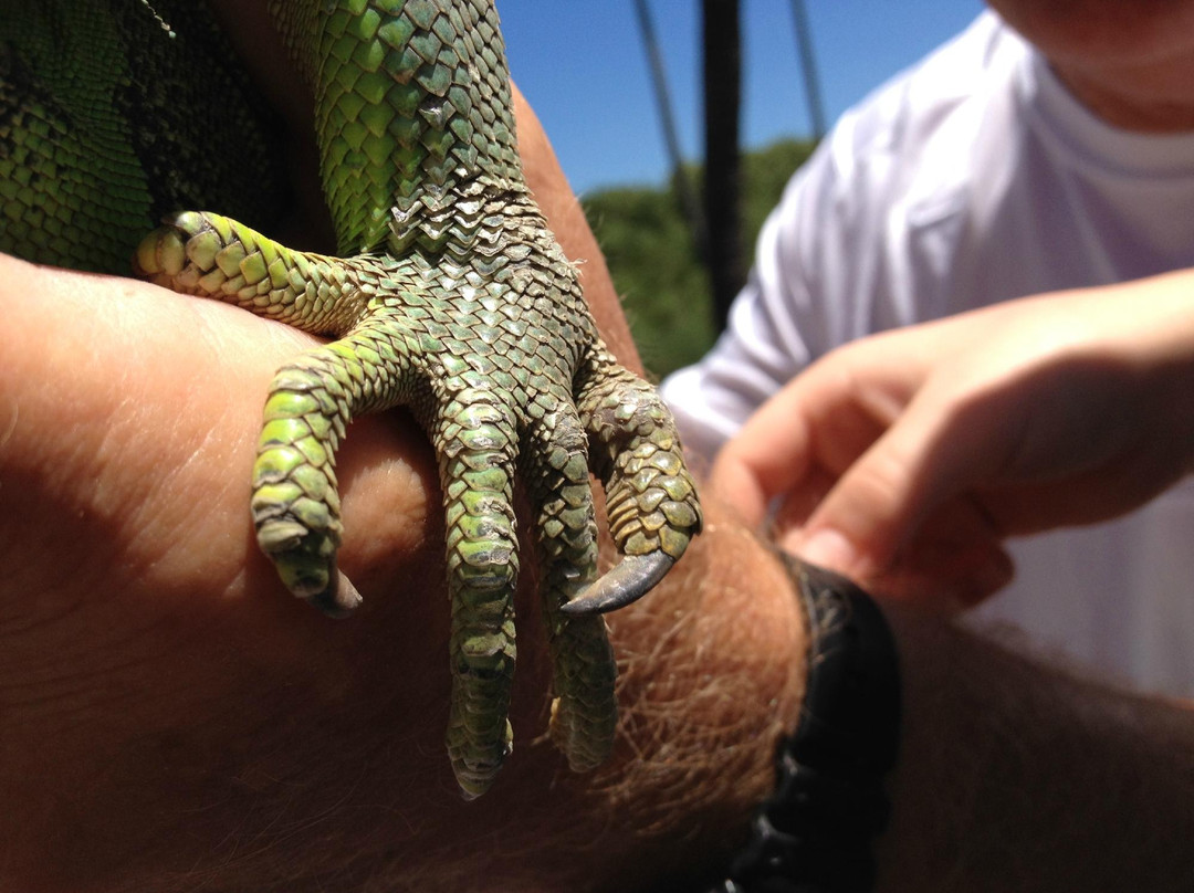 El Tortugugario-Cuyutlan必去景点