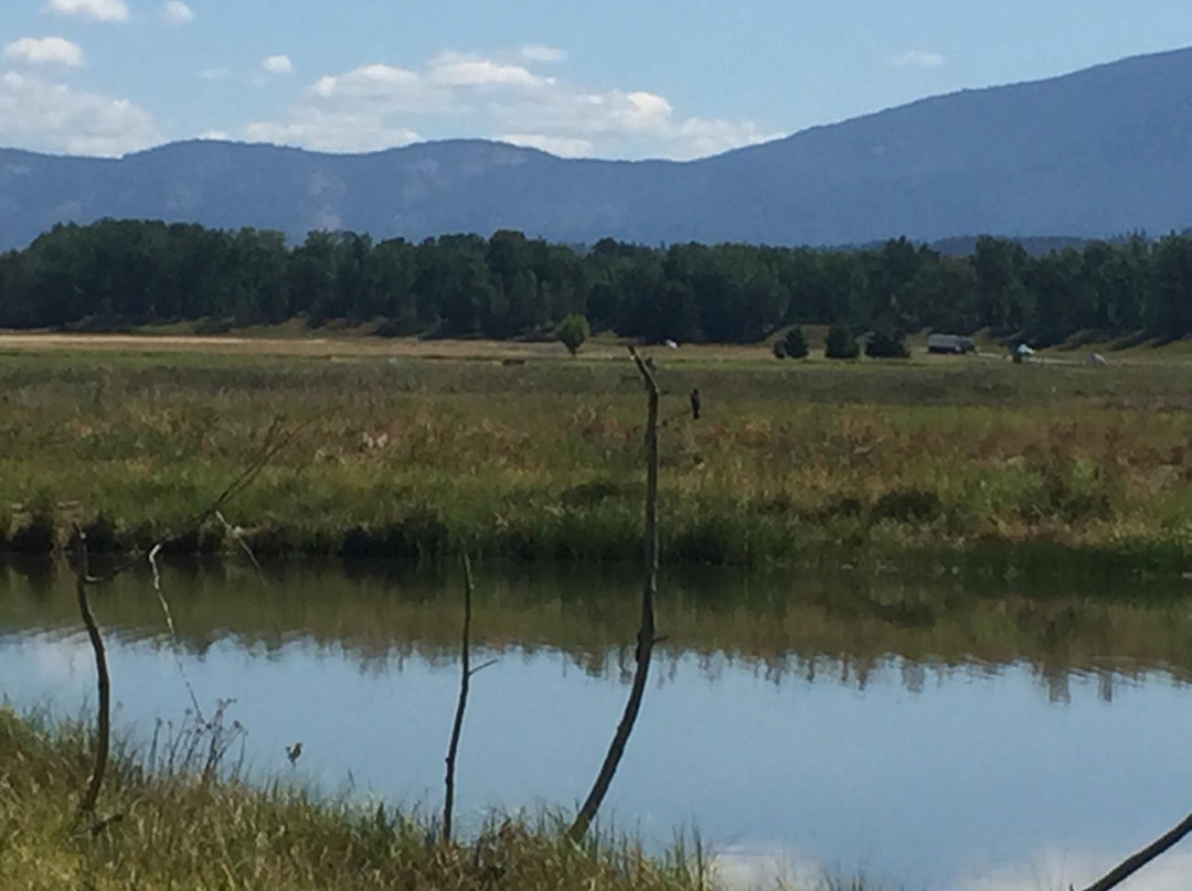 Kootenai National Wildlife Refuge-Bonners Ferry必去景点