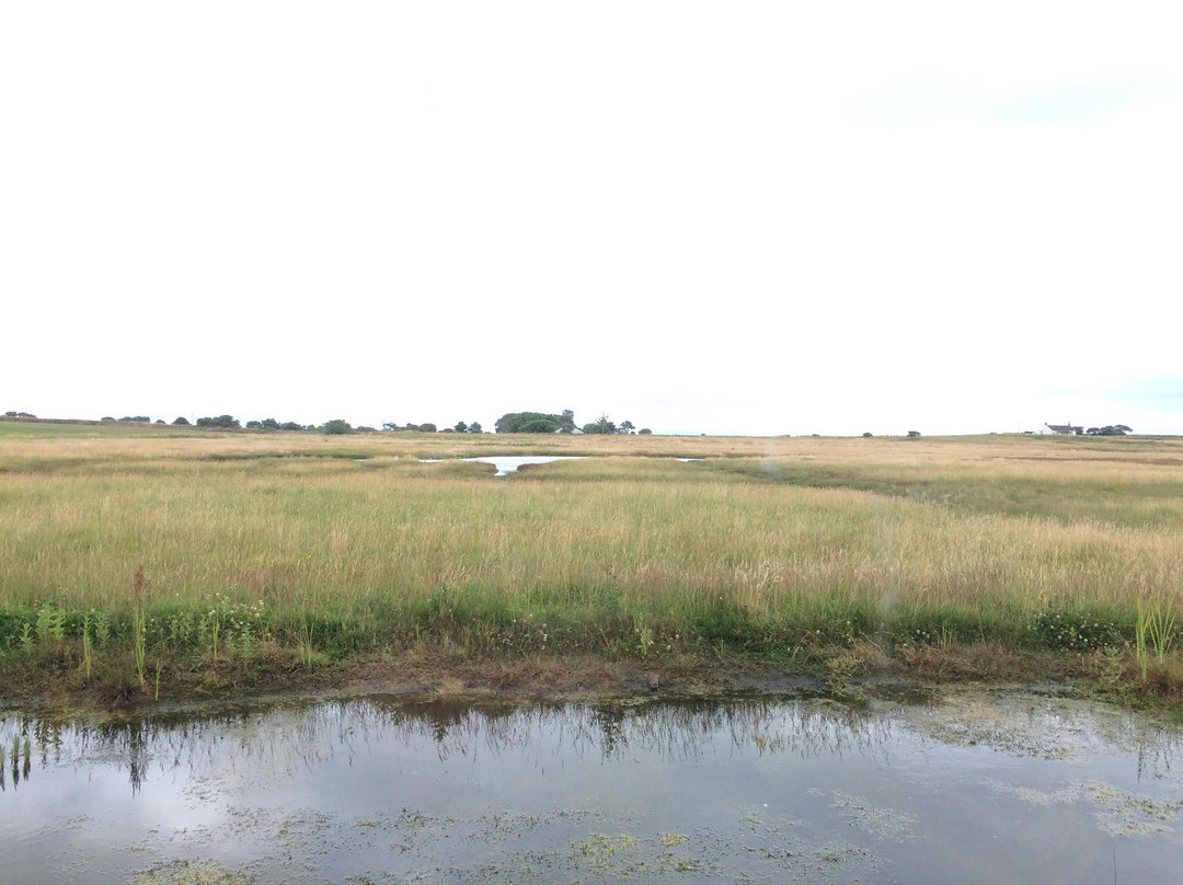 Lindisfarne National Nature Reserve-Holy Island必去景点
