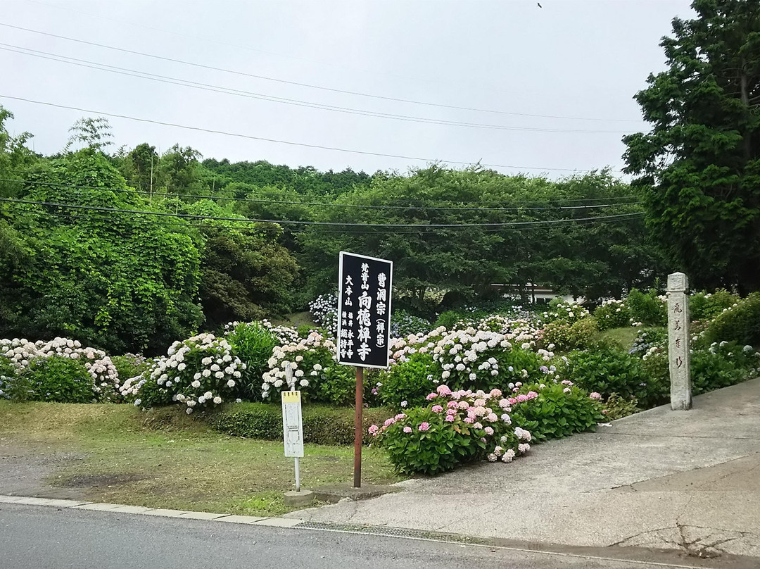 Kotokuzenji Temple-长门市必去景点