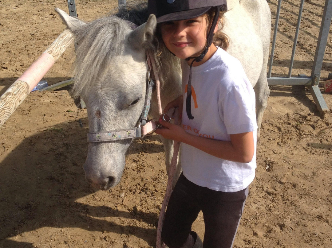 Poney Club de Rombly景点图片