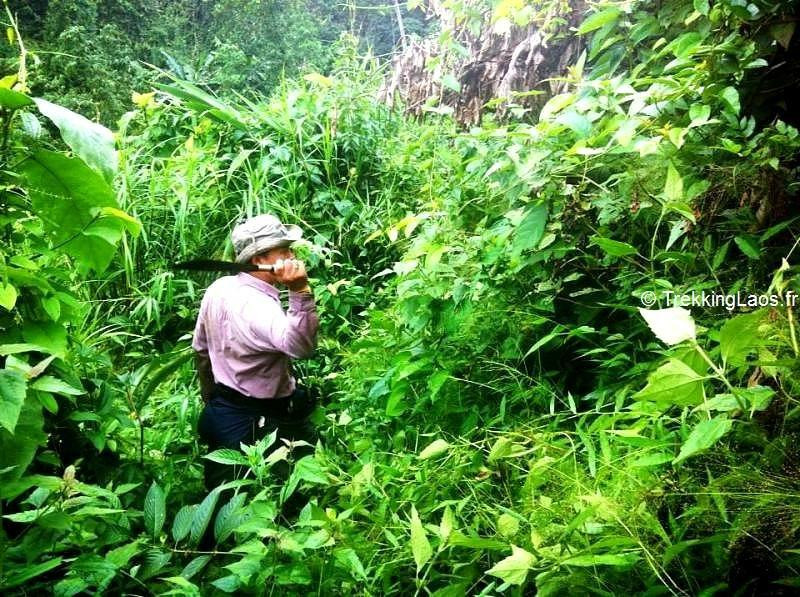 Trekking Laos - Day Tours-琅勃拉邦必去景点