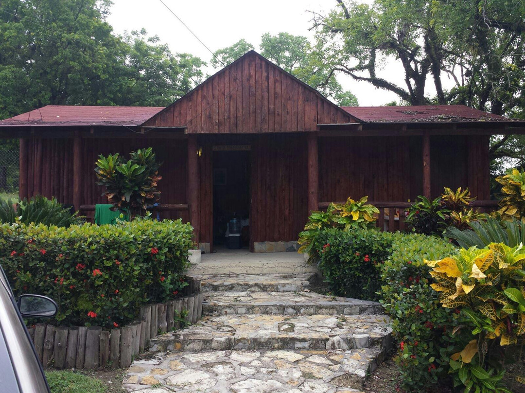 Vergel Huasteco