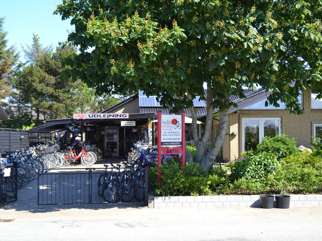 Hune-Blokhus Cykeludlejning-布洛克胡斯必去景点