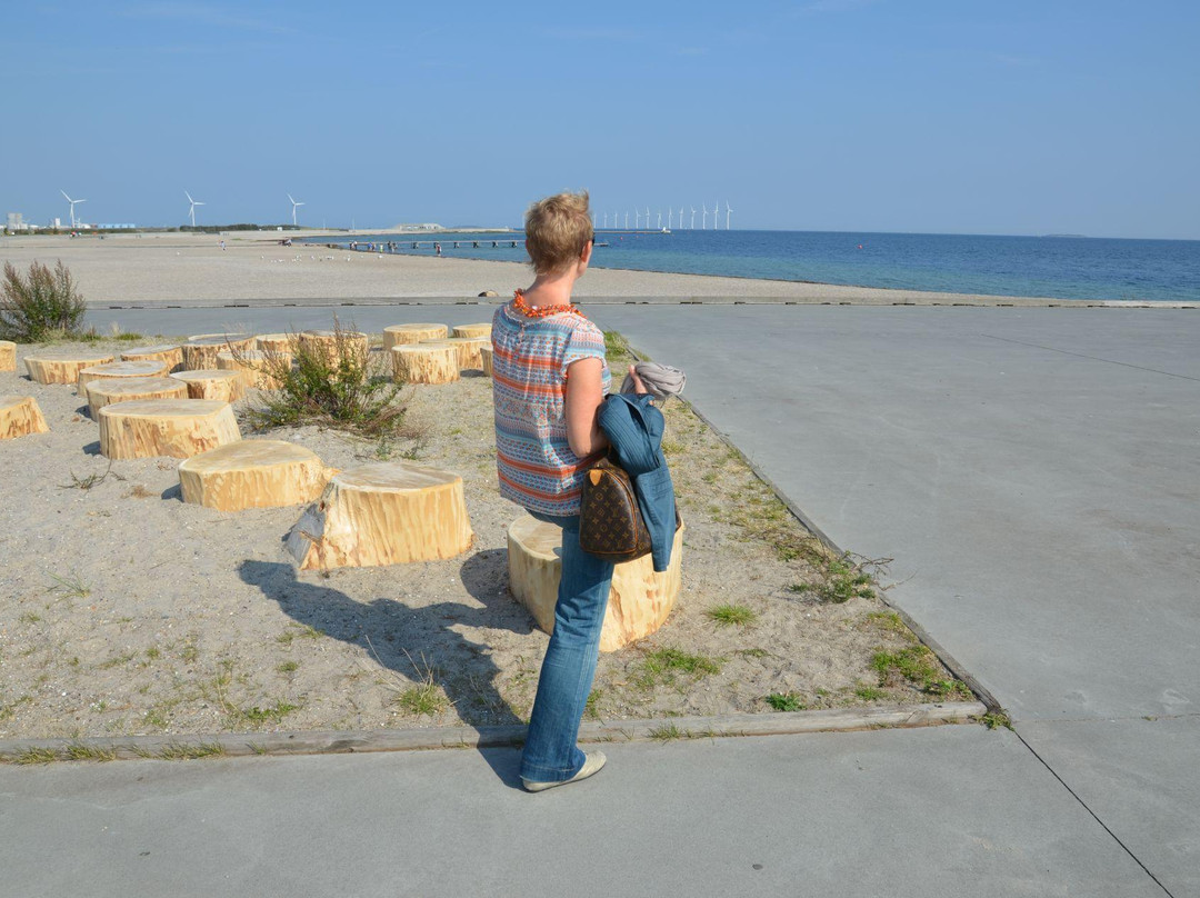 Amager Strandpark-哥本哈根必去景点