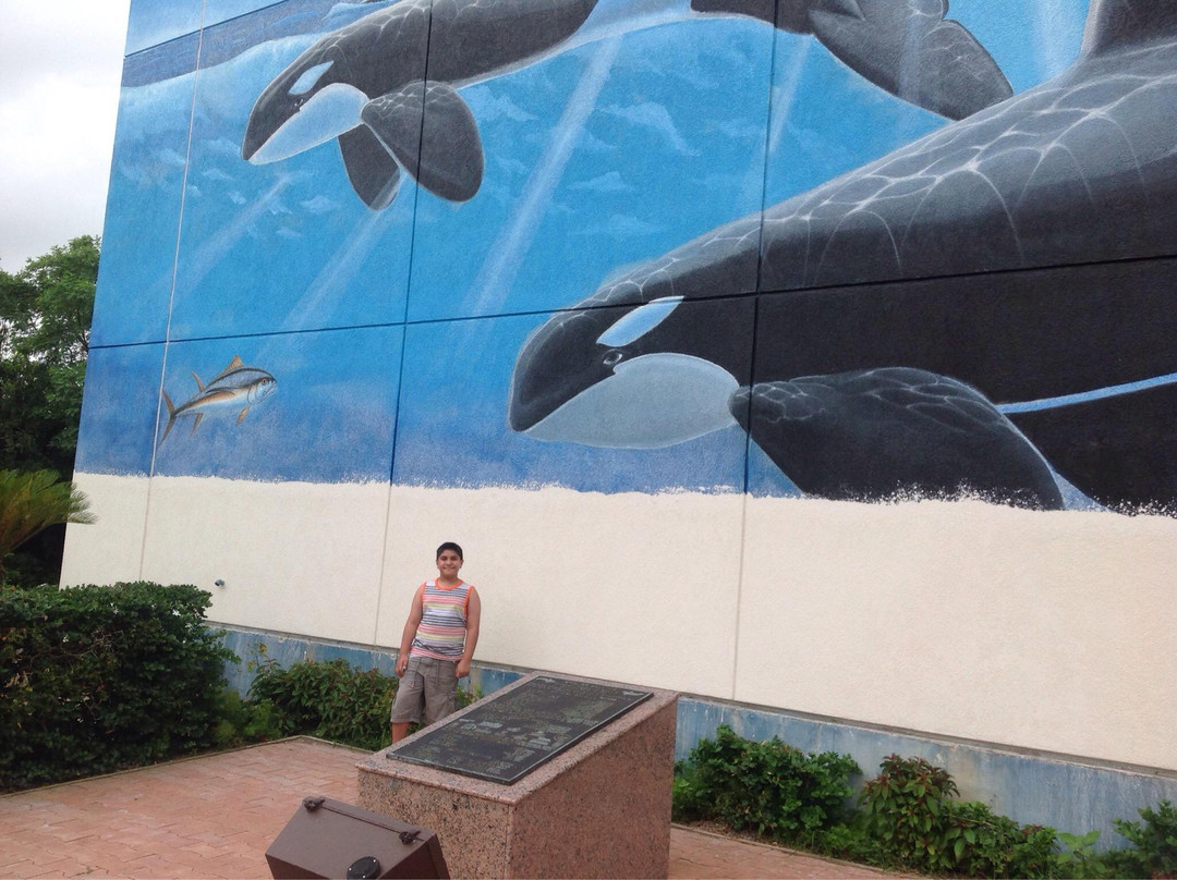 South Padre Island Convention Centre-南帕诸岛必去景点