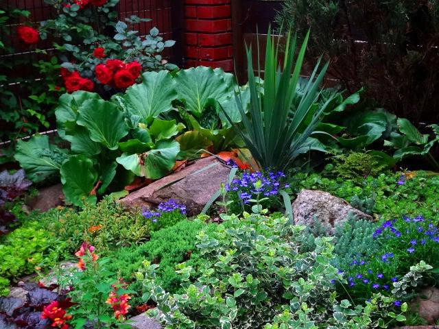 Delta Guest House主图