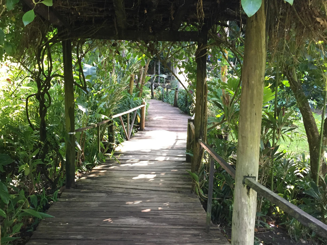 Fiji Eco Tours-纳迪市必去景点