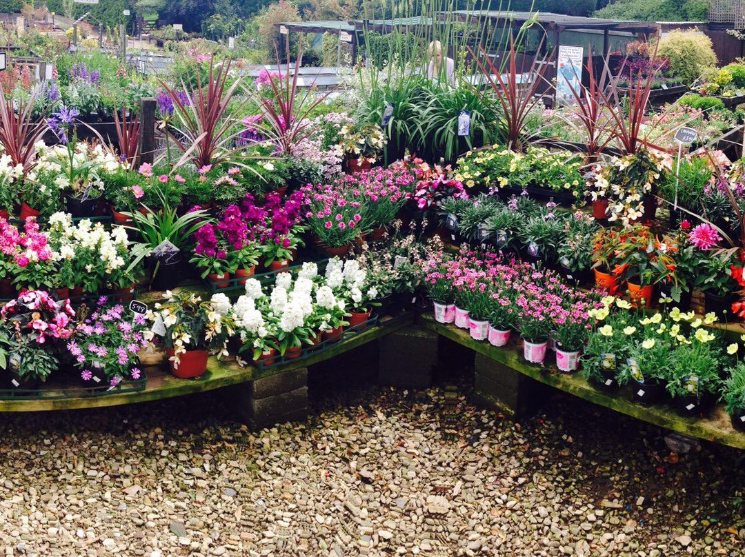 Whitlenge Garden, Tea Room and gift shop-Hartlebury必去景点