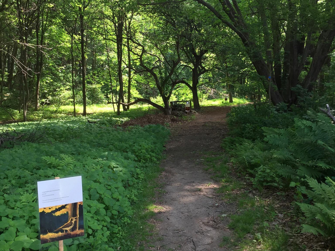 Mass Audubon Arcadia Wildlife Sanctuary景点图片