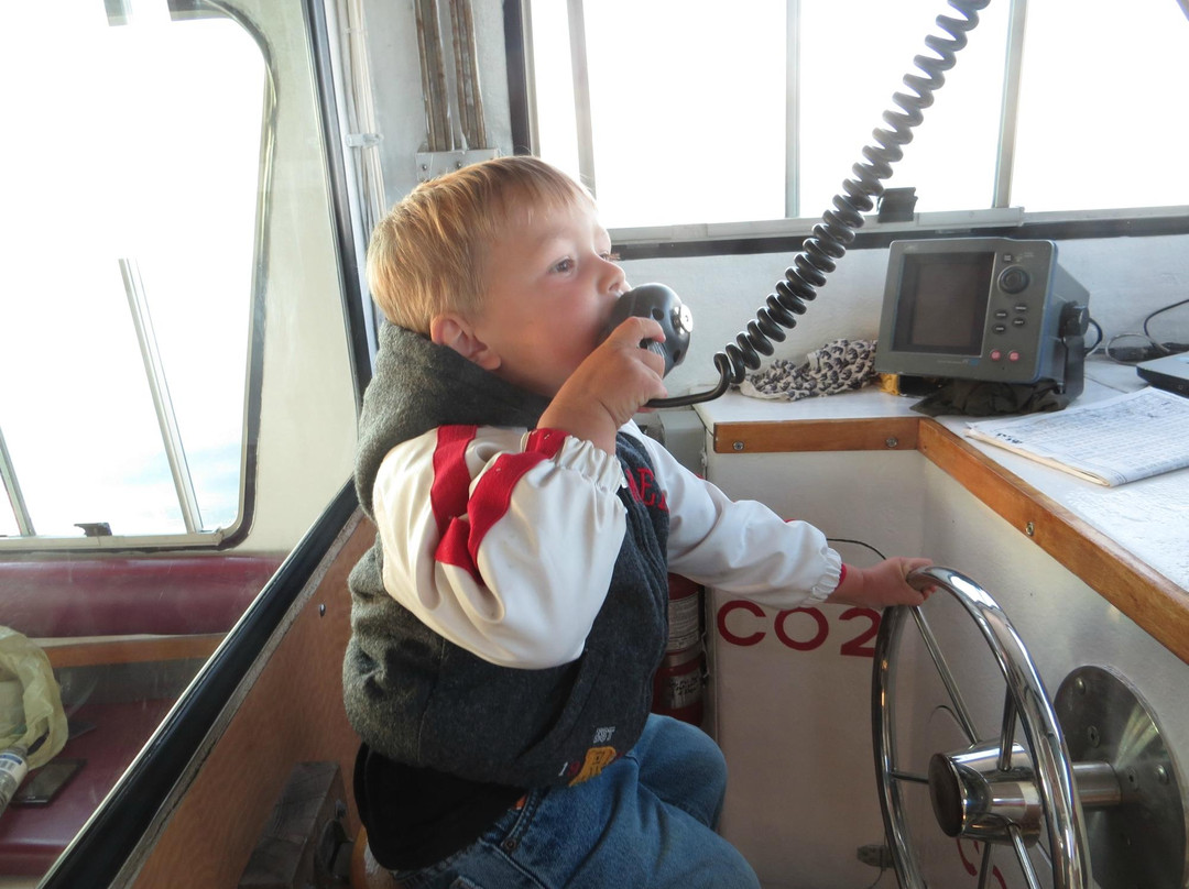 Welcome Aboard Whale Watching Tours-Westport必去景点