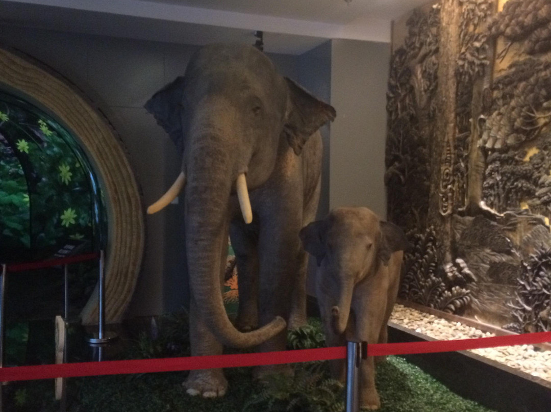 哈尔滨森林博物馆-哈尔滨市必去景点