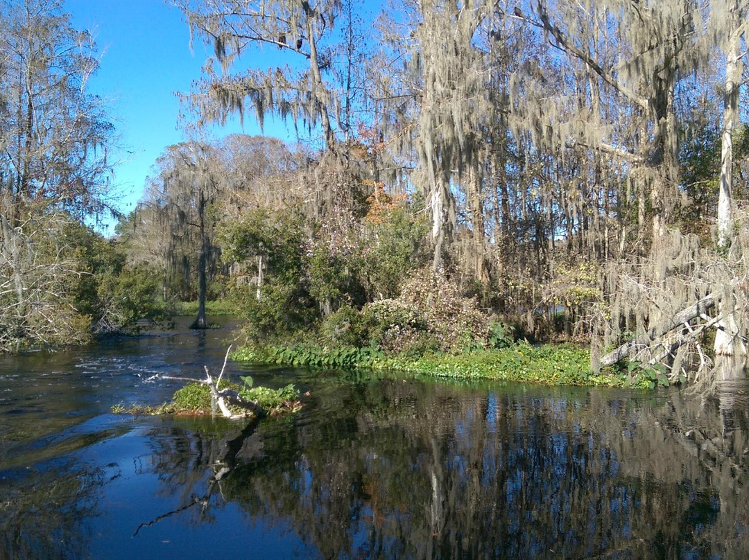 Captain Bob's Airboat Tour-Dunnellon必去景点
