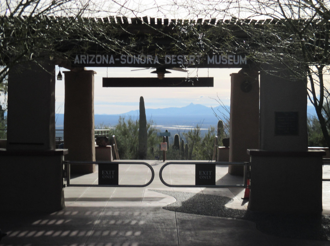 亚利桑那索诺拉沙漠博物馆-图森必去景点