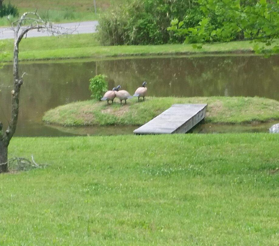 Warm Springs Winery-Warm Springs必去景点