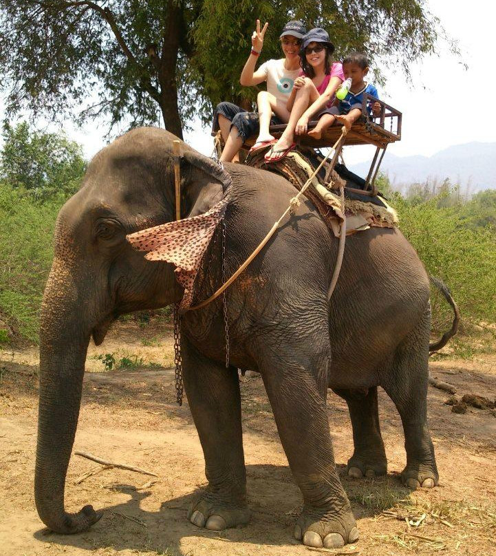 Mahawangchang Elephant Camp-北碧必去景点
