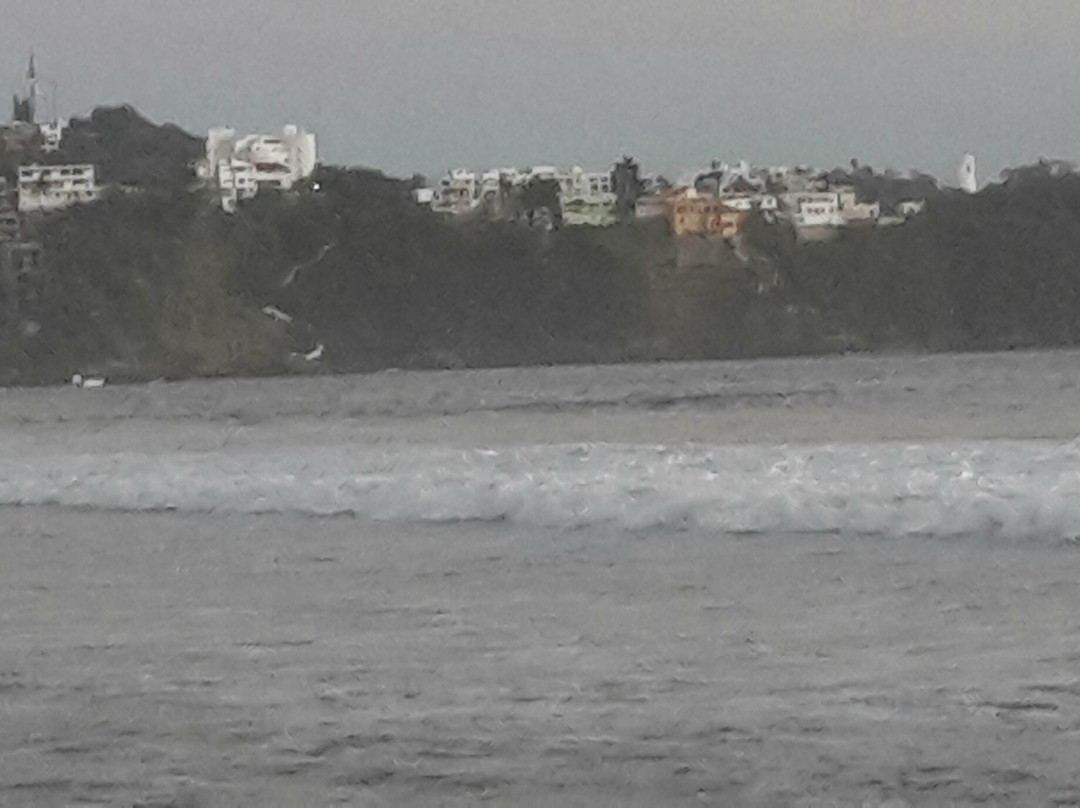 Playa Olas Altas-曼萨尼约必去景点