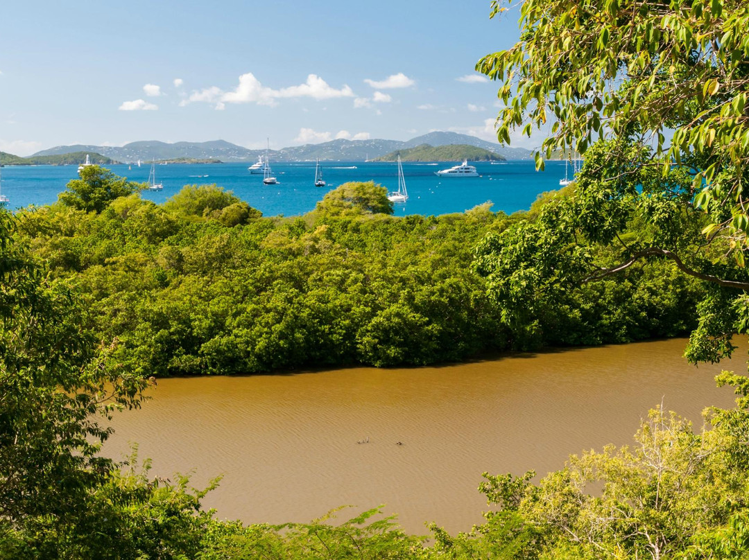 Francis Bay Trail-维尔京群岛国家公园必去景点