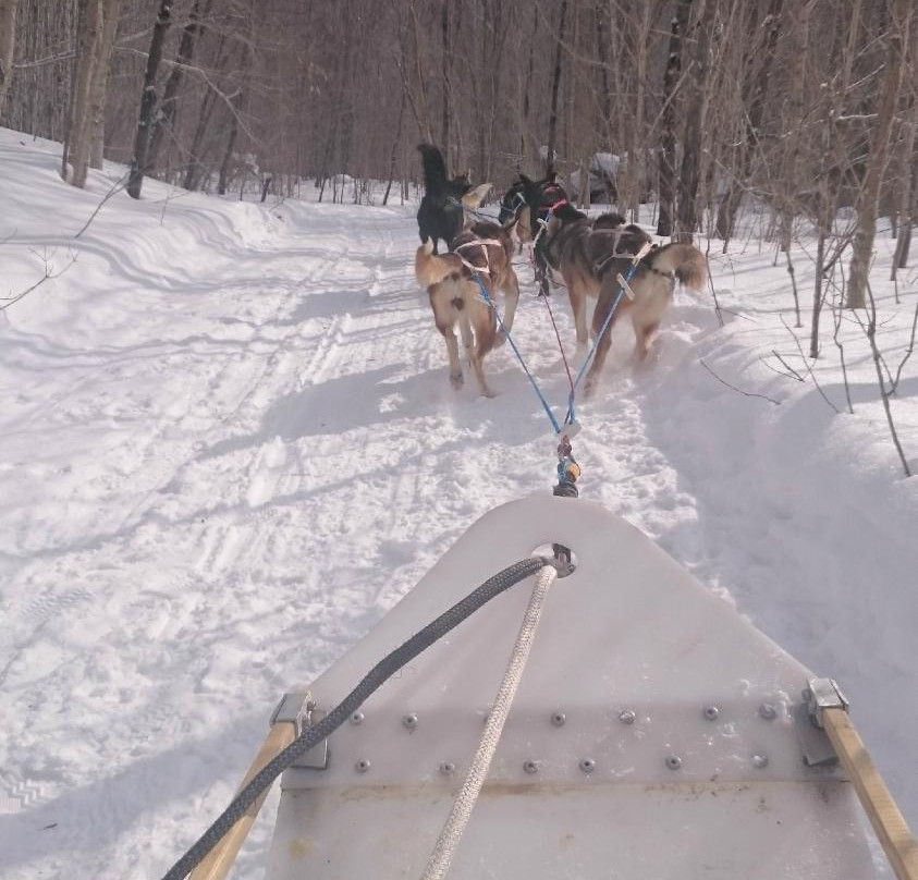 Expéditions Hautes-Laurentides-Riviere-Rouge必去景点