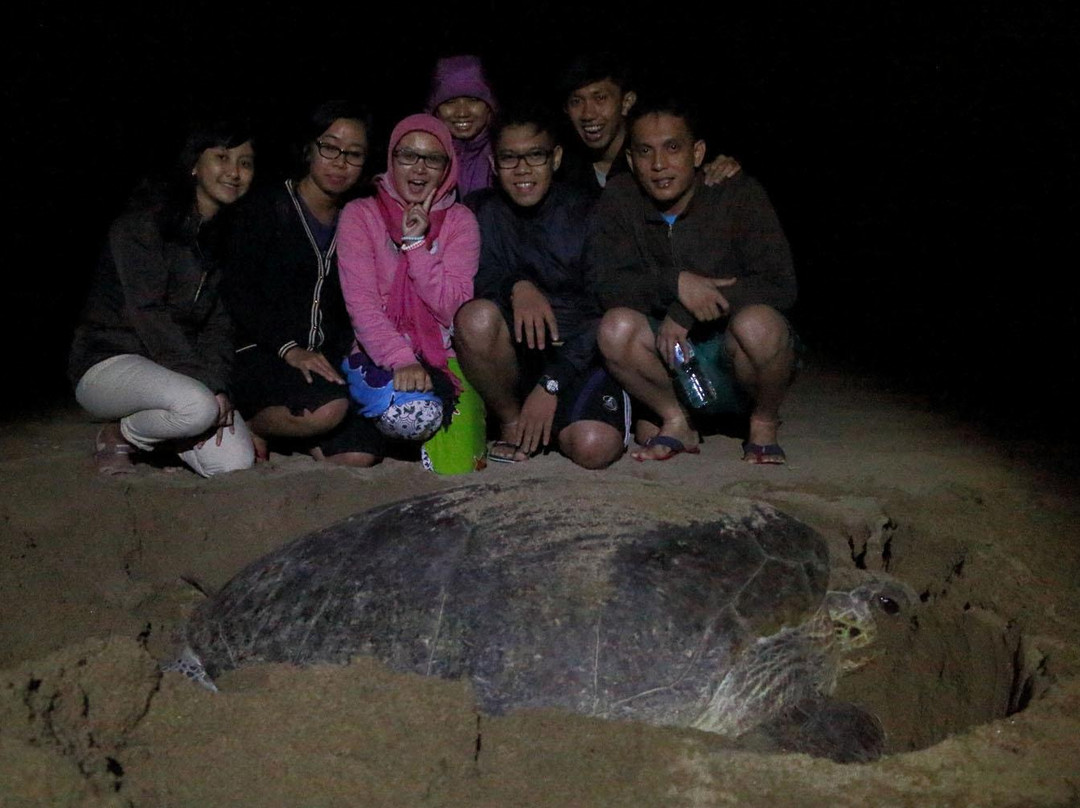 Sukamade Beach-巴纽旺宣必去景点