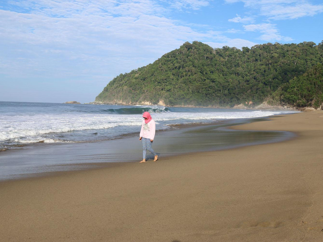 Sukamade Beach-巴纽旺宣必去景点