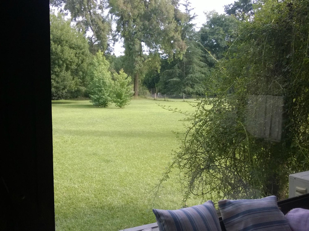 皮拉尔薰衣草山林小屋