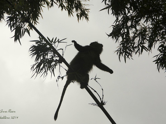 Intore Expeditions & Business Tours-吉佳利必去景点