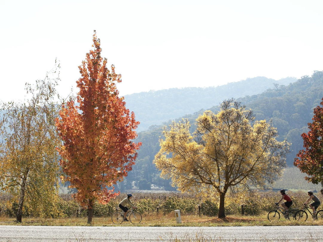 Murray to Mountains Rail Trail-Wangaratta必去景点