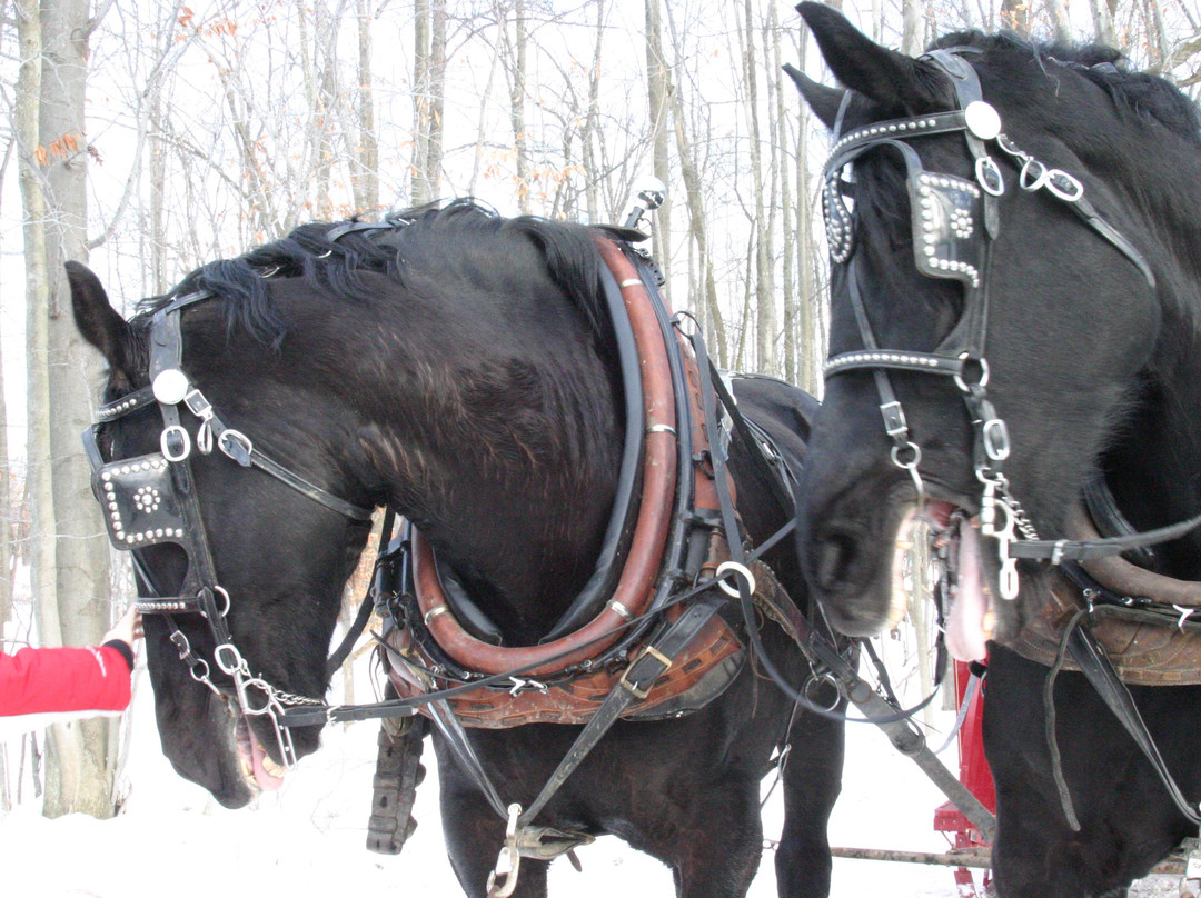 Ma And Pa's Cabin And Sleigh Rides-Burton必去景点