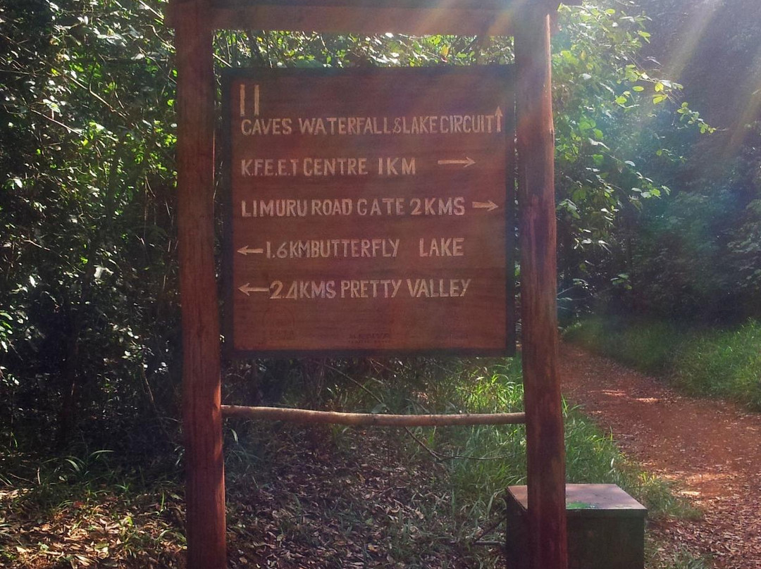 Karura森林-内罗毕必去景点