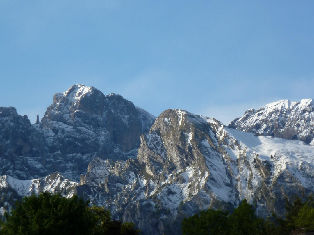 Casa di Campagna Dolomiti Bellunesi主图