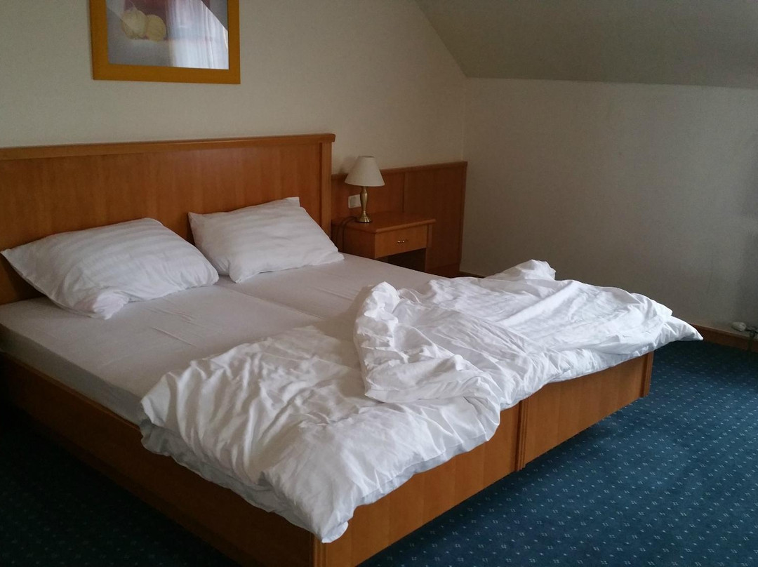 Eisenbock`s Strasser Hof主图