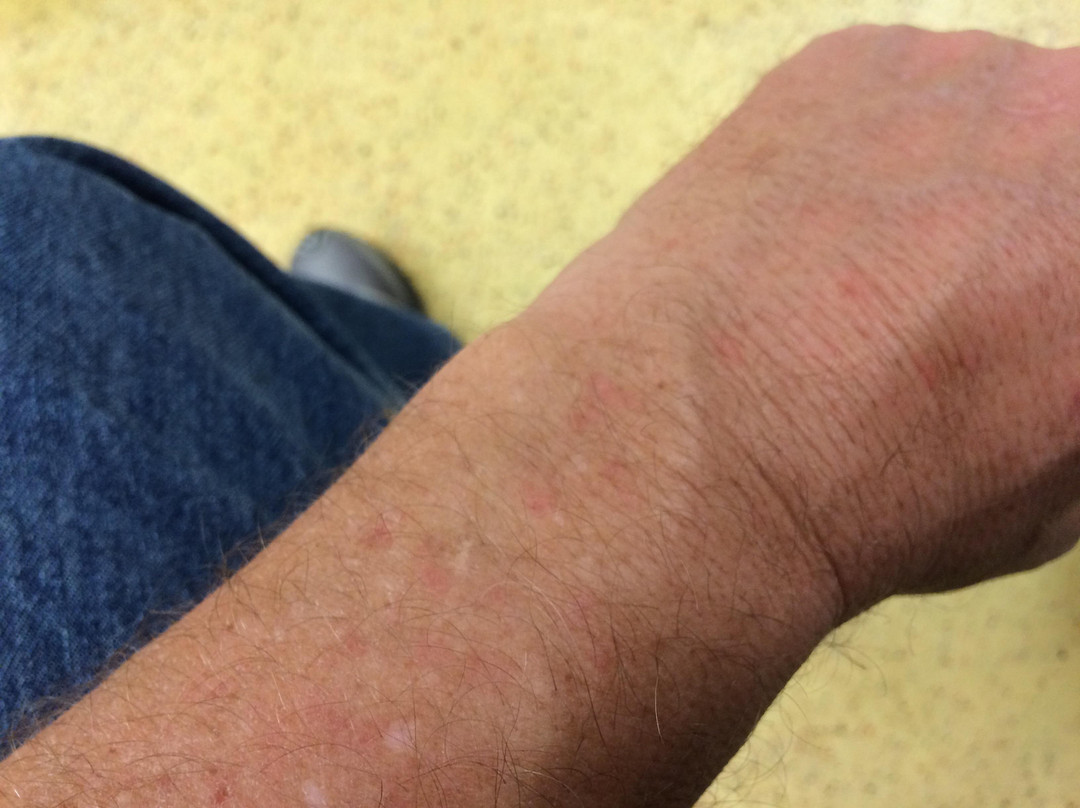 Benton Gray Plaza Motel