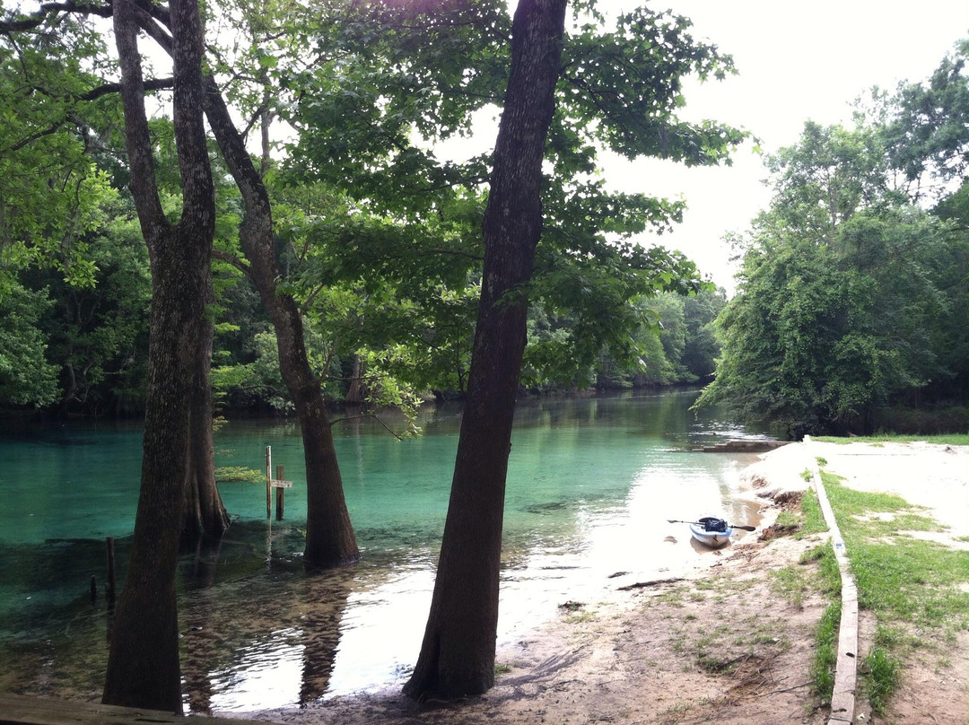 Old Cypress Canoe Rental景点图片