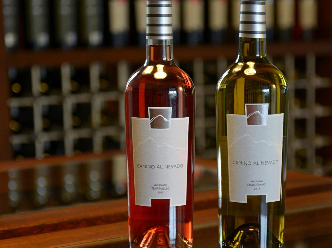 Bodega Finca El Nevado-圣拉斐尔必去景点