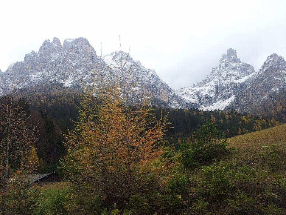 Il Bosco dei Sogni景点图片