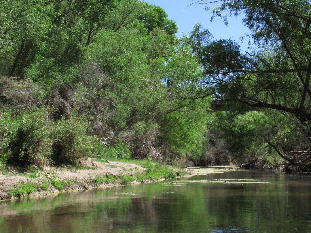 Gila Box Riparian National Conservation Area-Safford必去景点