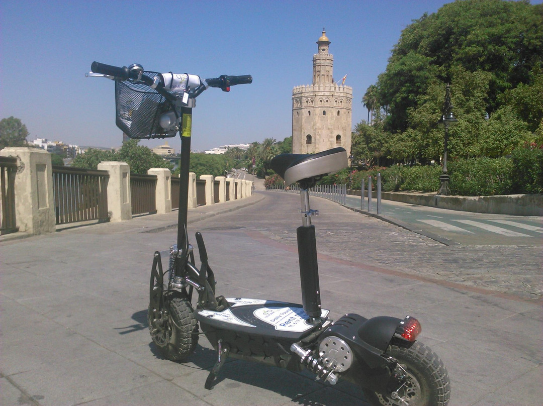 City Bike Tour Sevilla-塞维利亚必去景点