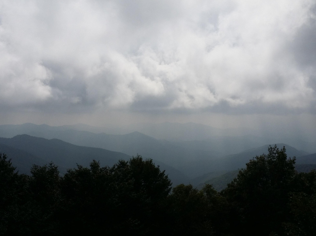 Morganton Point Recreation Area景点图片