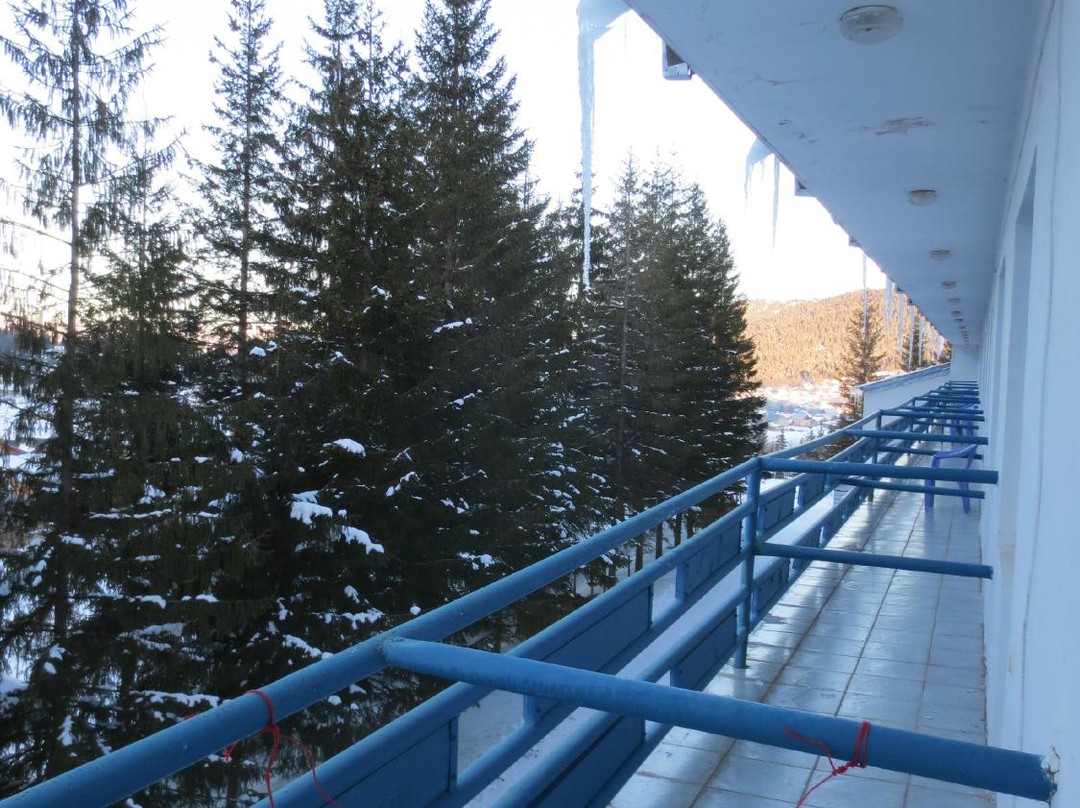 Premier Palace主图