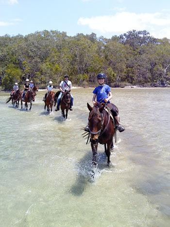 Noosa Horse Riding景点图片