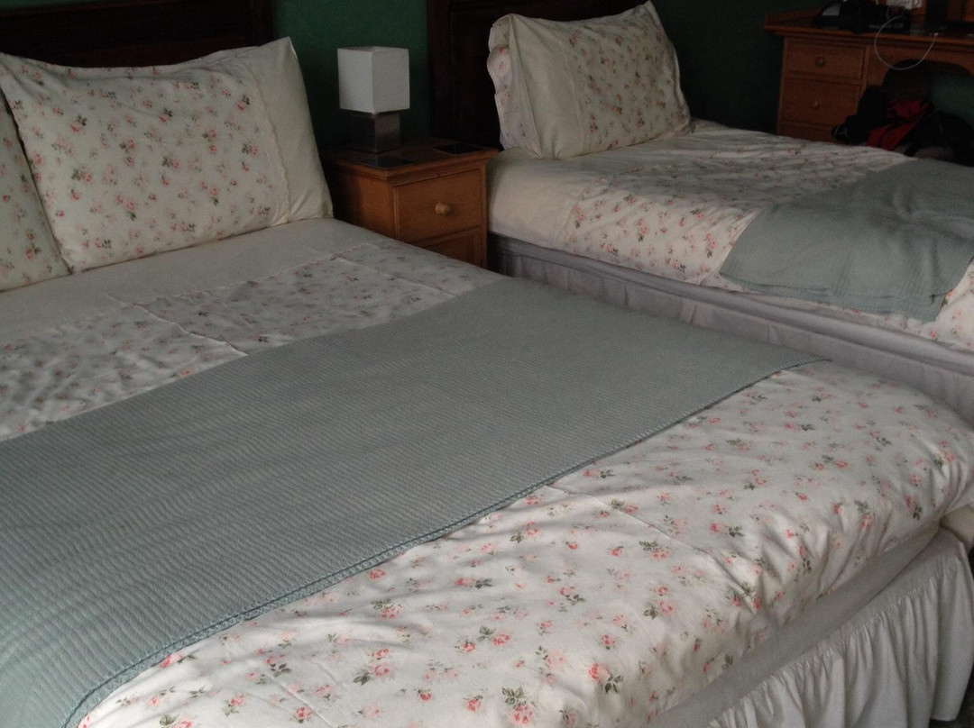 The Edwardian Lodge Guest House主图