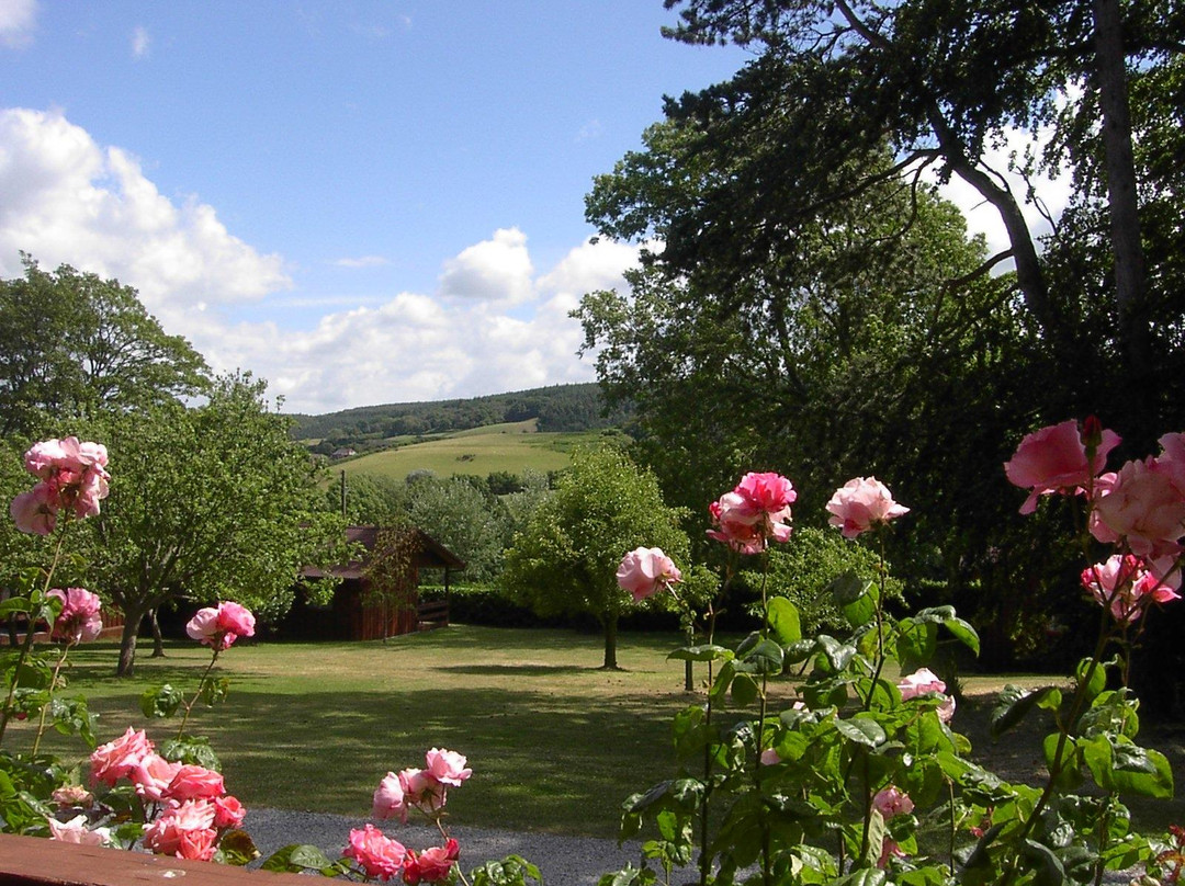 Woodcombe Lodges